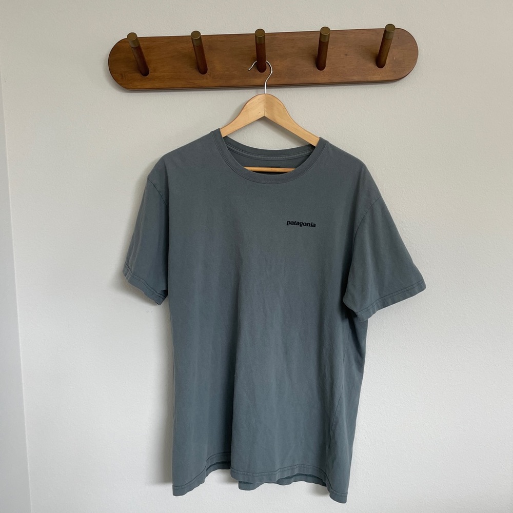 Patagonia T-shirt